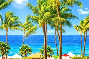 A beach with palm trees and a clear blue ocean. - Honua Kai 3 Free Cars KBM Resorts Front Alii Suite 3 Units, 6 Bedrooms HK Ml-3143 (Kaanapali)
