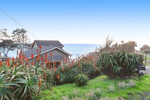 Une maison située sur la côte, dotée d’un jardin où l’on trouve des plantes à fleurs rouges et un feuillage verdoyant.