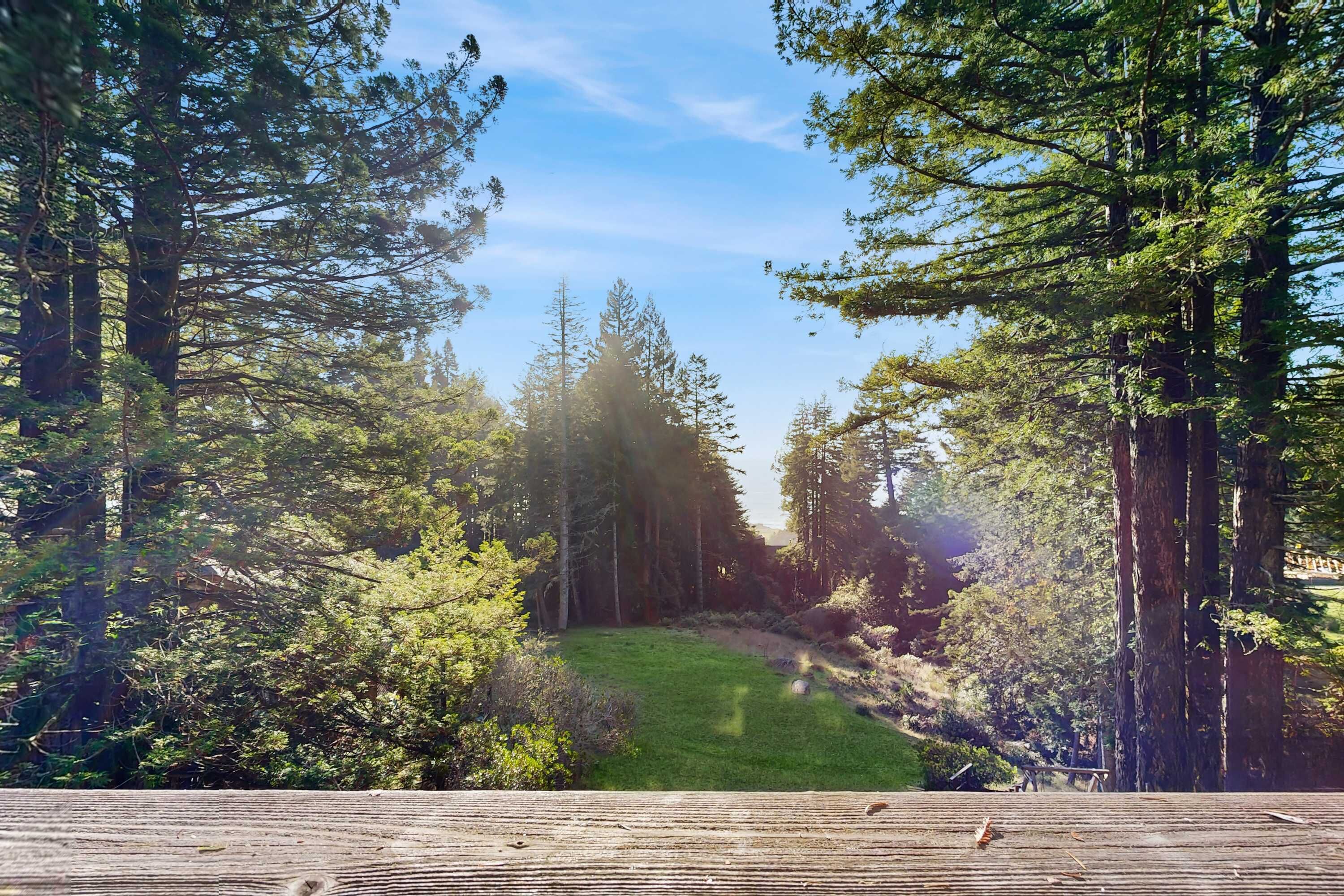 Outside, take in this tranquil view, where the lush greenery invites moments of peace and reflection in nature.