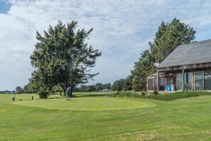 Golf - Ocean-view Sea Ranch home near the Bluff Trail (Sea Ranch)