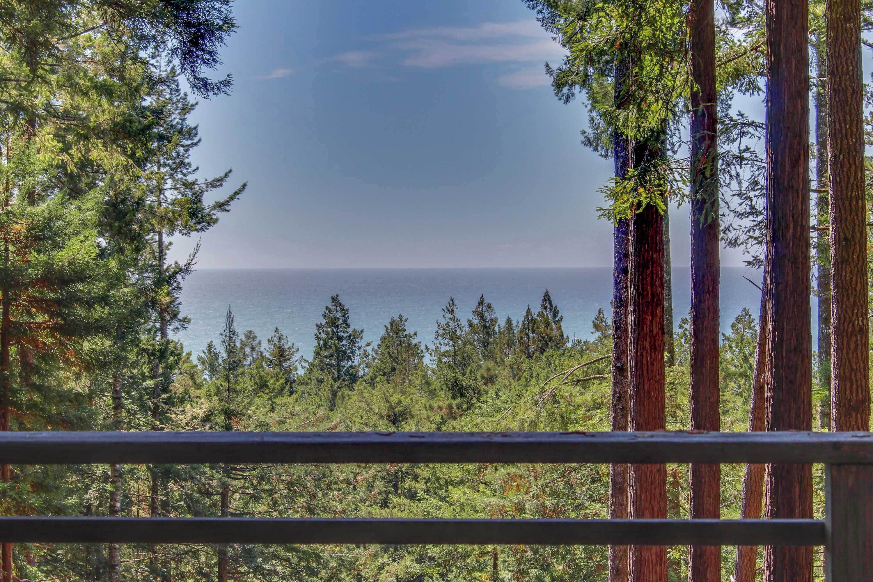 Breathe in the fresh coastal air as you gaze at the stunning ocean view, framed by towering redwoods.