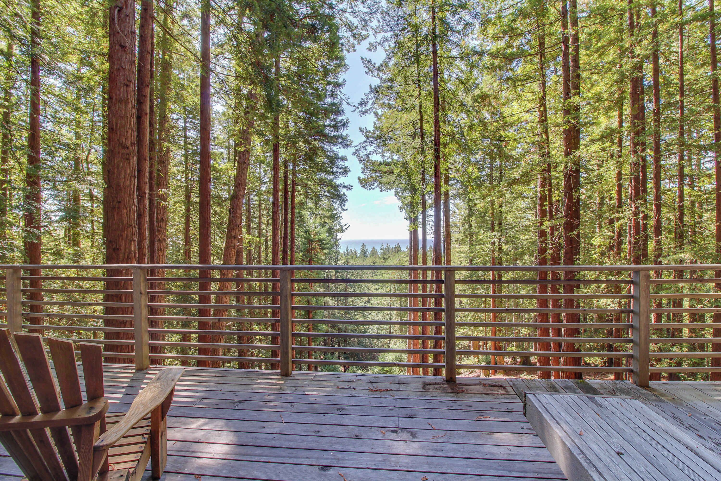 A wooden deck with chairs, surrounded by tall trees.