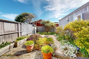 A garden with potted plants, a wooden fence, and a building in the background. - Ocean-view blufftop home with courtyard on the meadow, dogs welcome (Sea Ranch)