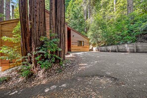 Property grounds - Forested home with fireplace & ev charger near Anchor Bay, dogs welcome (Gualala)