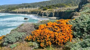 Kustlandschap met kliffen, oceaan golven en oranje bloemen.