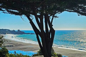 Ein Baum im Vordergrund, Strand und Meer im Hintergrund.