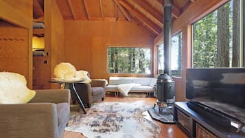 TV, fireplace, DVD player, offices