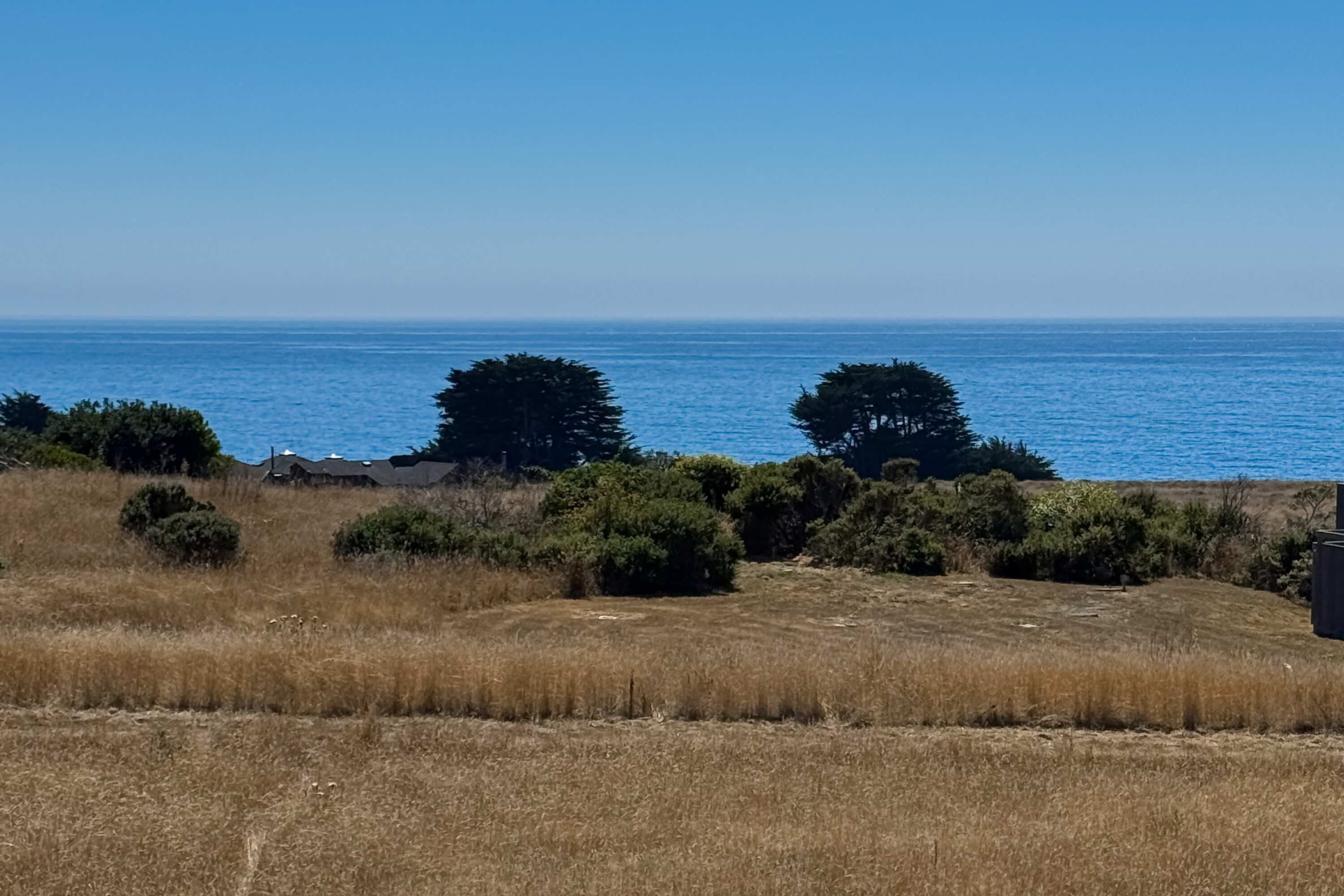 A coastal landscape with dry grass, trees, and a clear blue sky.