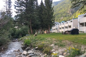 Una hilera de edificios de motel con un arroyo y una montaña boscosa al fondo.