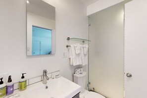 Shower, hair dryer, towels, shampoo