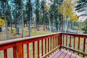 Property grounds - Bear Haven - Serene Cabin, Close to Hiking & Golf (Angel Fire)