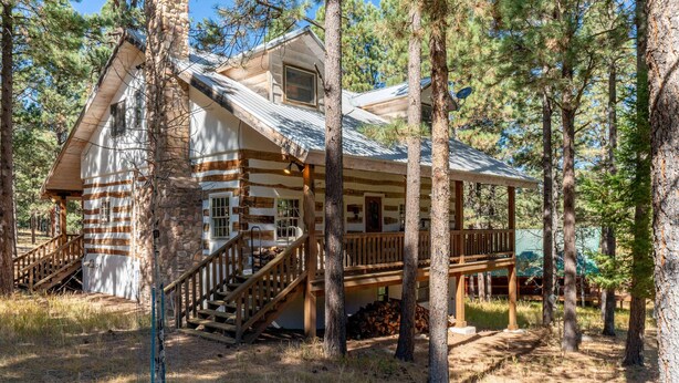 Una baita di legno con una veranda, una scala che conduce all'ingresso principale e una foresta circostante.