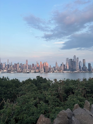 Horizontale Skyline mit Hochhäusern, einem Gewässer und dichter Vegetation im Vordergrund.