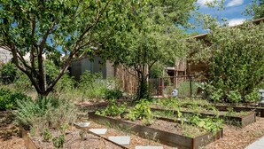 A garden with raised beds, a tree, and a fence. - Santa Fe Serenity - Walk to the Railyard, Dog-Friendly Garden Home (Santa Fe)