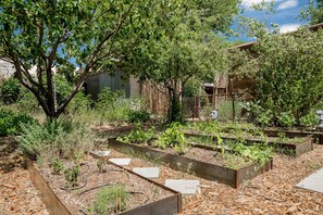 Ein Garten mit erhöhten Blumenbeeten, einem Baum und einem Zaun.