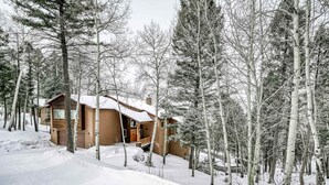 A cabin surrounded by snow-covered trees. - Vista Linda Cabin - Views, Sauna, Deck & Dog Okay (Angel Fire)