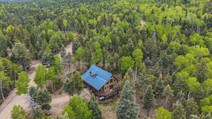A wooden cabin with a blue roof surrounded by dense forest. - The Bear Chalet - Hot Tub, Game Room, Mtn Views (Angel Fire)