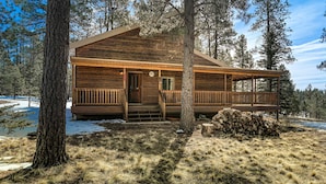 Une cabane en bois dotée d’un porche, entourée d’arbres et de neige.