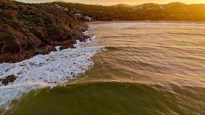 A coastal landscape with a beach, waves, and a forested area.