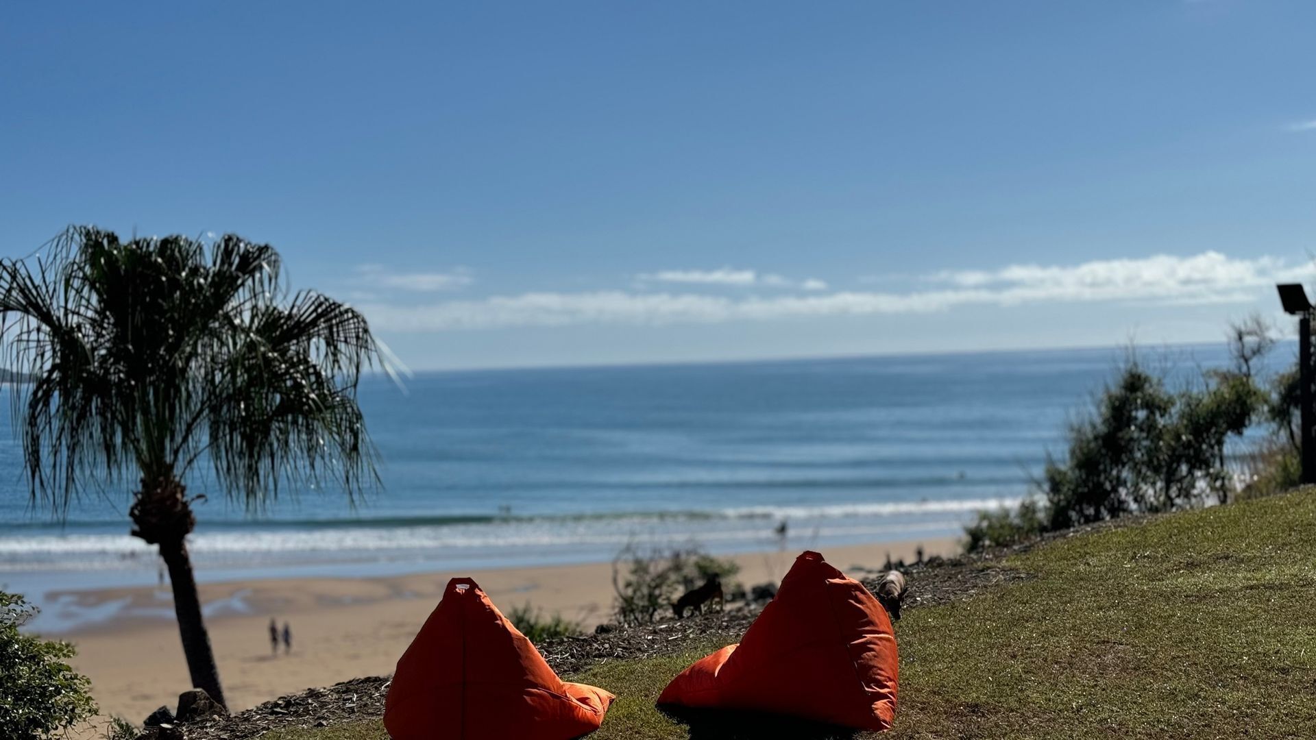 A beach with a palm tree, two orange bean bags, and a clear view of the ocean.