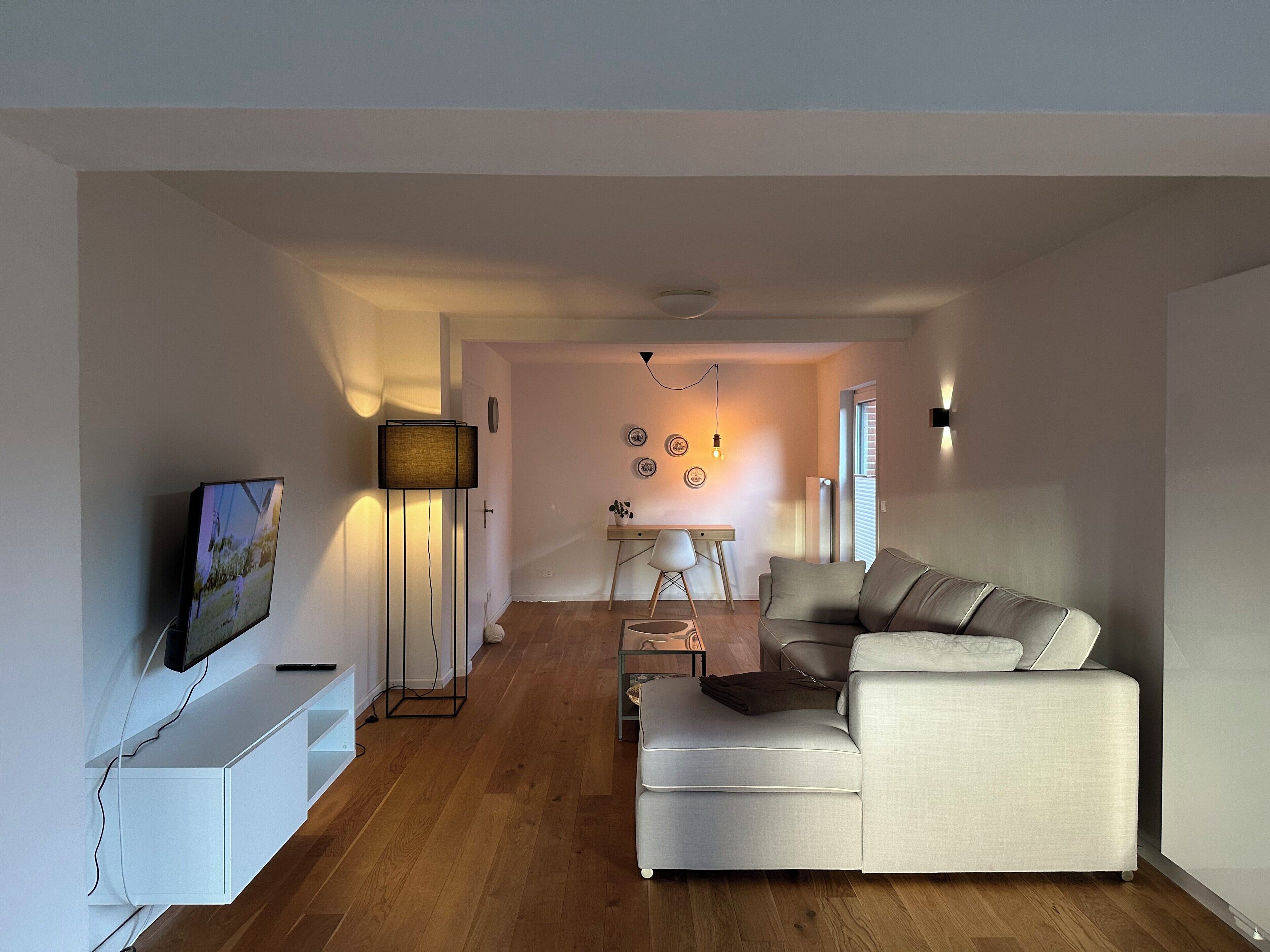 Fernseher, Kamin