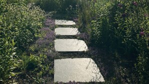 A garden pathway with stepping stones leading to a wooden structure. - Vacation home for 8 people with natural garden, fireplace & lots of space, near the North Sea (Wesselburen)