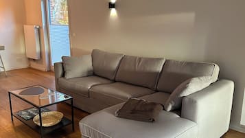 Fernseher, Kamin