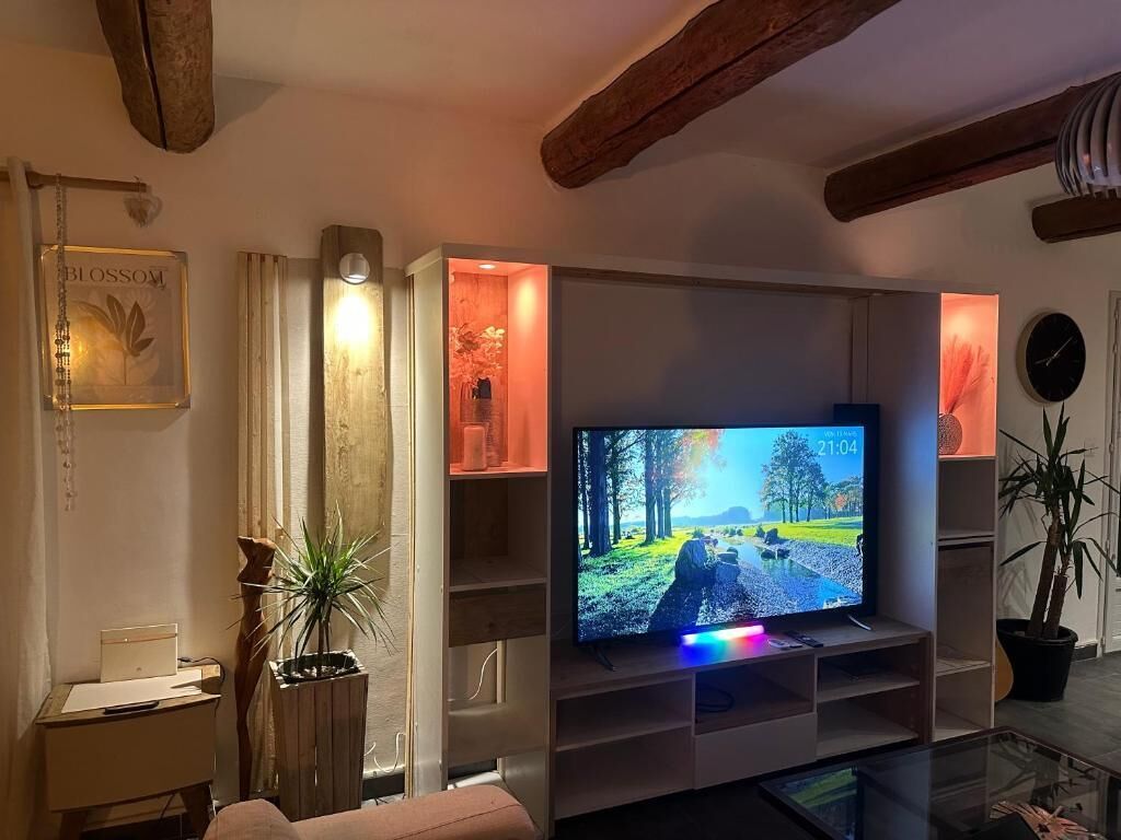 Smart-TV, Bücher