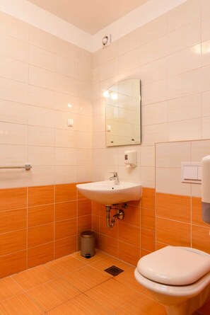 Regadera, secadora de cabello, bidet, toallas 