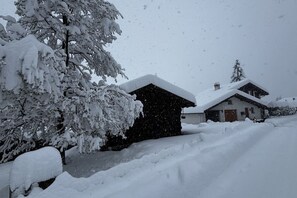 Eksteriør