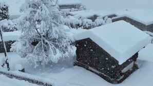Un bâtiment recouvert de neige, avec un toit en pente et un arbre chargé de neige devant.