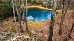 Un estanque natural rodeado de árboles, con un área boscosa y un cielo despejado.