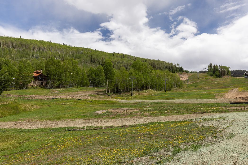 A rural landscape with a wooden cabin, a dirt path, and a grassy field with yellow flowers.