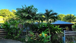 Una casa rodeada de exuberante vegetación tropical, con palmeras y diversas plantas.