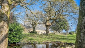 A house with a pond, surrounded by trees and a grassy area. - Maison bretonne de 1600 : Authenticité & Sérénité (Inzinzac-Lochrist)
