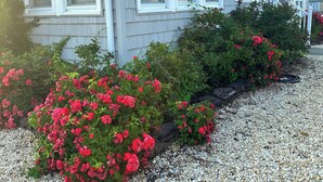 A house with a gravel driveway and red flowers in the front yard.