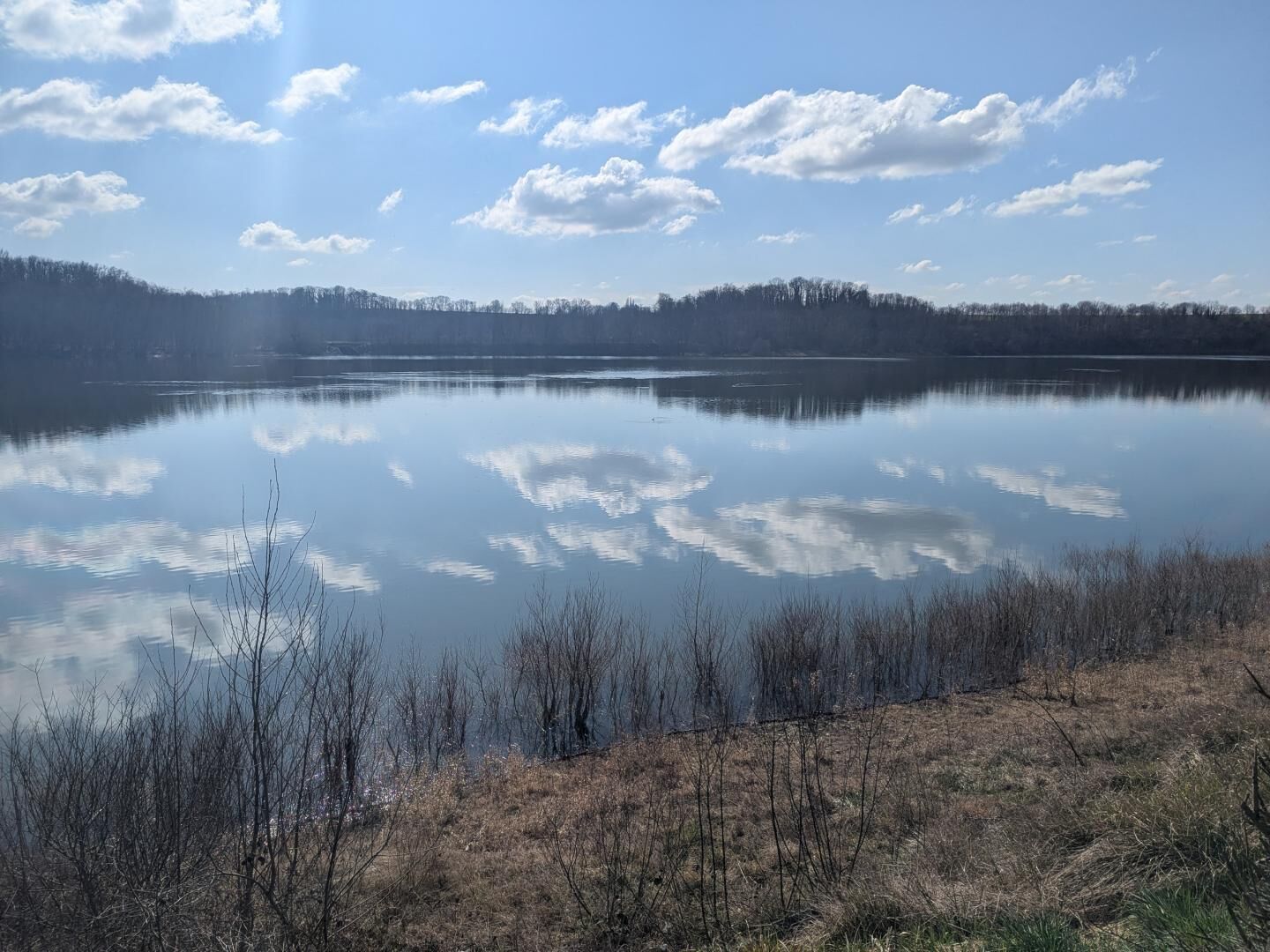 Um lago tranquilo refletindo o céu e árvores, cercado por uma área arborizada.
