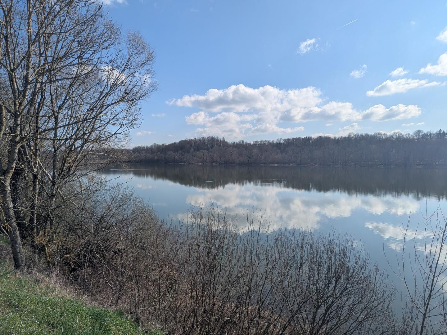 A calm lake with trees reflecting in the water, surrounded by a forested area.