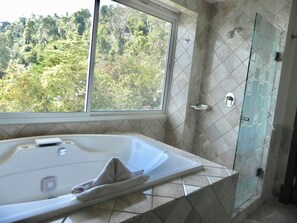 Shower, jetted bath, towels, soap - Penthouse B Pichilingue - Esmeralda (Acapulco de Juárez)