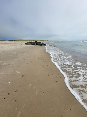 Ranta