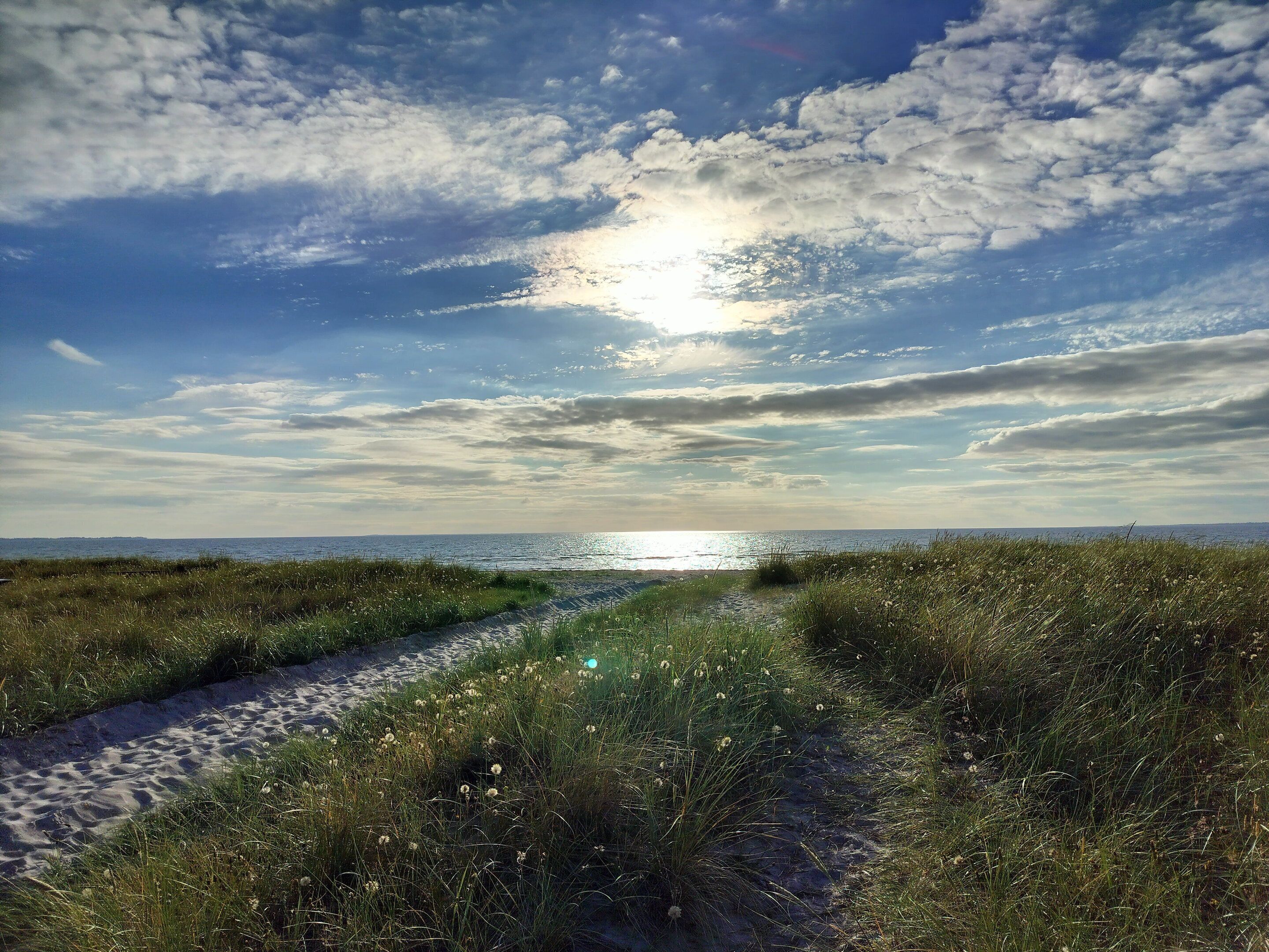 Strand