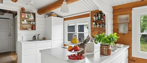 Een koelkast, een oven, een kookplaat, een vaatwasser
