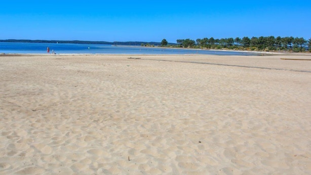 Une plage avec une eau d’un bleu limpide, un rivage sablonneux et des arbres en arrière-plan.