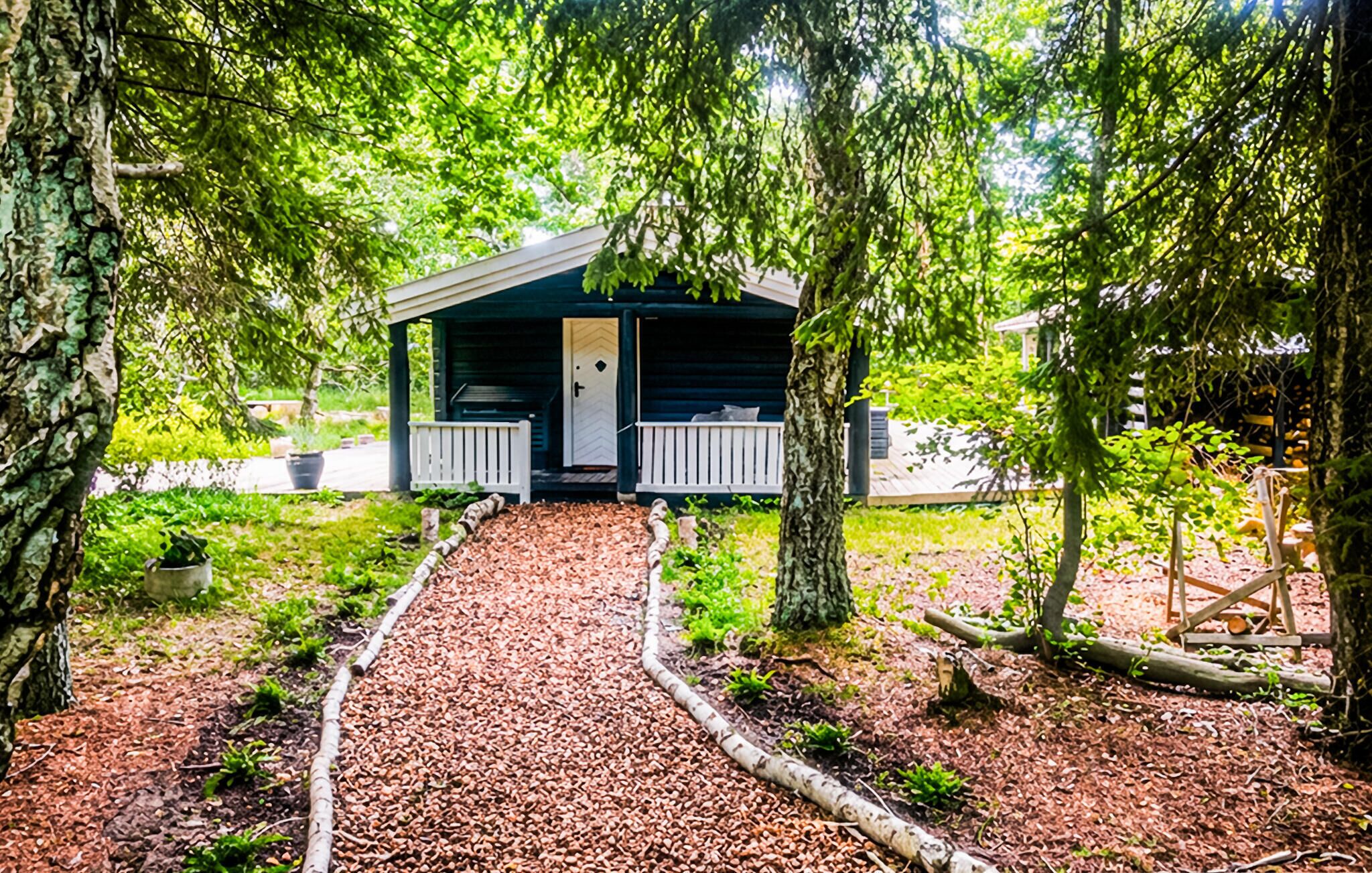 Eine Hütte mit Veranda, umgeben von Bäumen und einem Schotterweg.