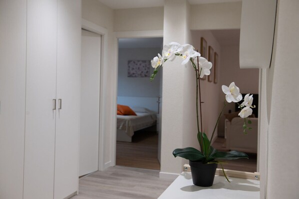 A hallway with a bed, a potted plant, and a mirror reflecting the room.