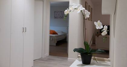 Golden Harmony Apartment in Zurich Oerlikon