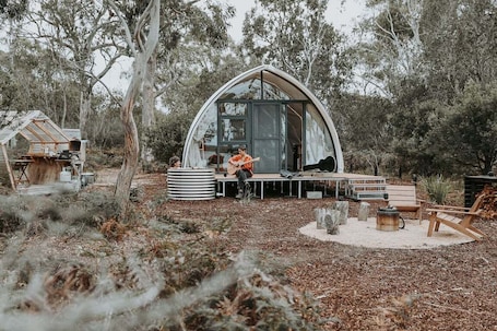 Property grounds. Numie - Cocoon Wattle