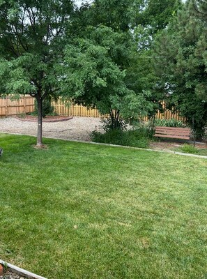 Área da propriedade