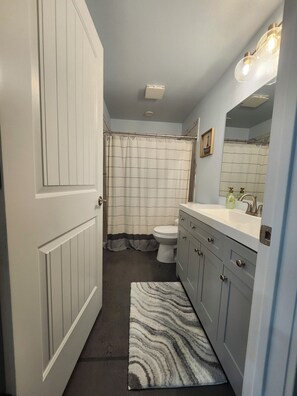 Hair dryer, towels, soap, toilet paper