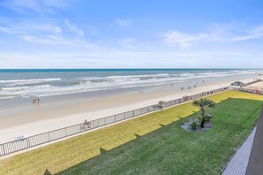 Blick auf einen Strand mit einer Rasenfläche, einer Palme und einem Zaun.